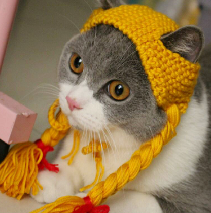 Cat Hat with Braids and Head Accessories